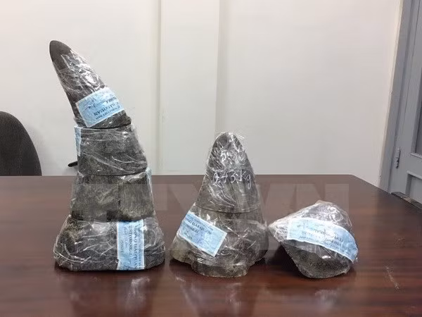 胡志明市查获一起非法运输犀牛角案 ảnh 1