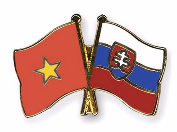 进一步加强越南与斯洛伐克的民间交流 ảnh 1