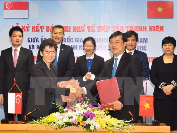 越新青年加强合作 ảnh 1