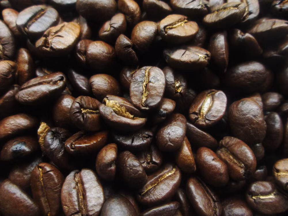 前四月越南农林水产出口额约达108亿美元 ảnh 2