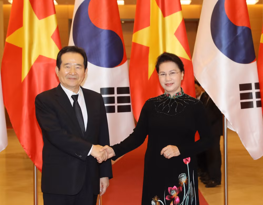 越南国会主席阮氏金银同韩国国会议长丁世均举行会谈 ảnh 1
