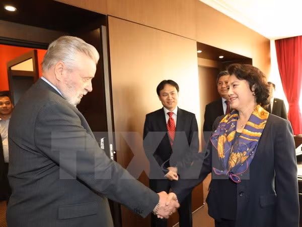 越南国会主席阮氏金银会见匈越友好协会主席 ảnh 1