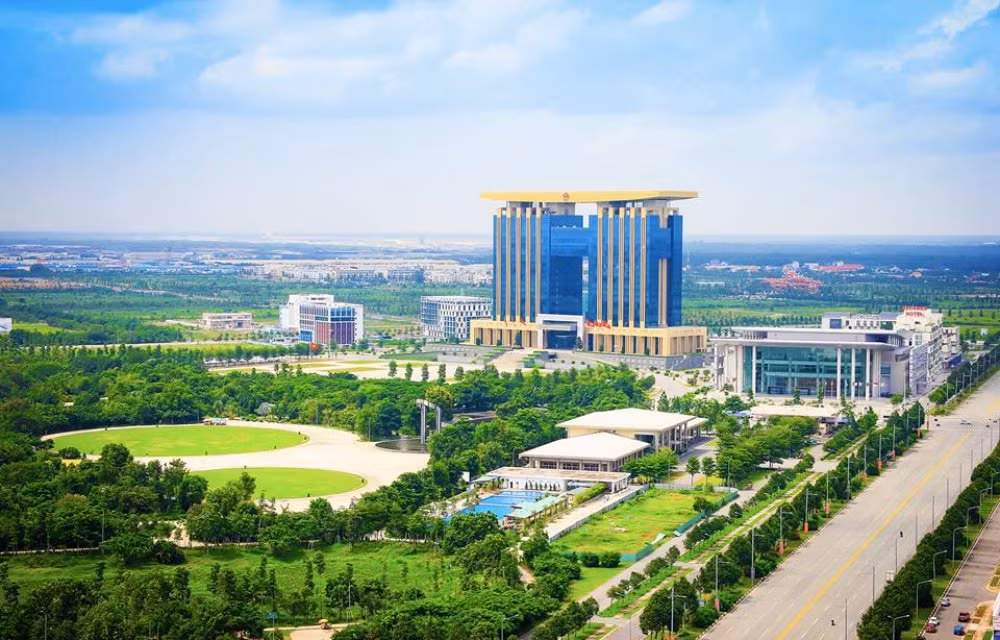 中国企业拟促进对越南平阳省投资 ảnh 2