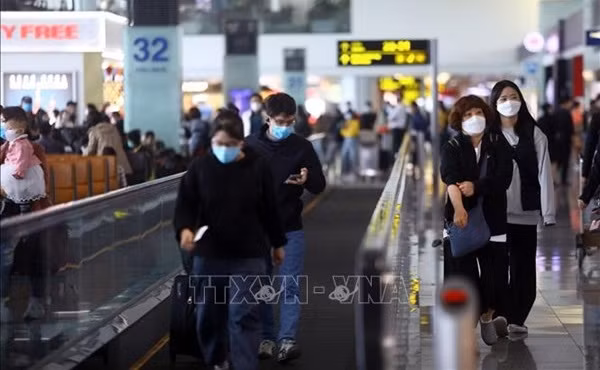 越南各家航空公司国际航班客满率正在增加 ảnh 1 越南各家航空公司国际航班客满率正在增加 ảnh 1