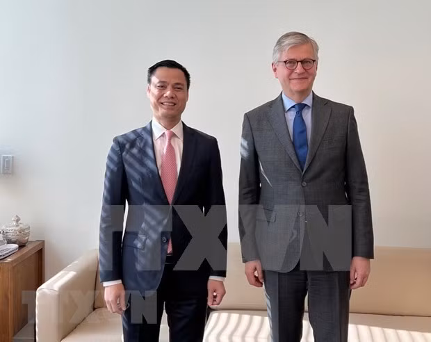 联合国希望越南提高能力 更积极深入地参与联合国维和行动 ảnh 1