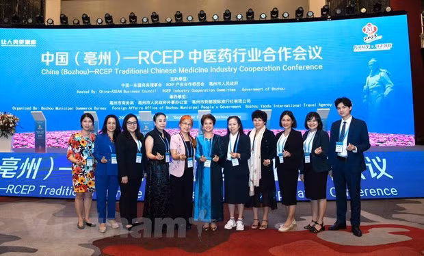 越南出席中国—RCEP中医药行业合作会议 ảnh 1