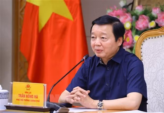 黎青松大使：越南与古巴继续保持良好传统关系 ảnh 2