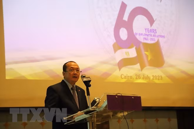 越埃建交60周年：两国关系基础牢固、发展迅速 ảnh 1
