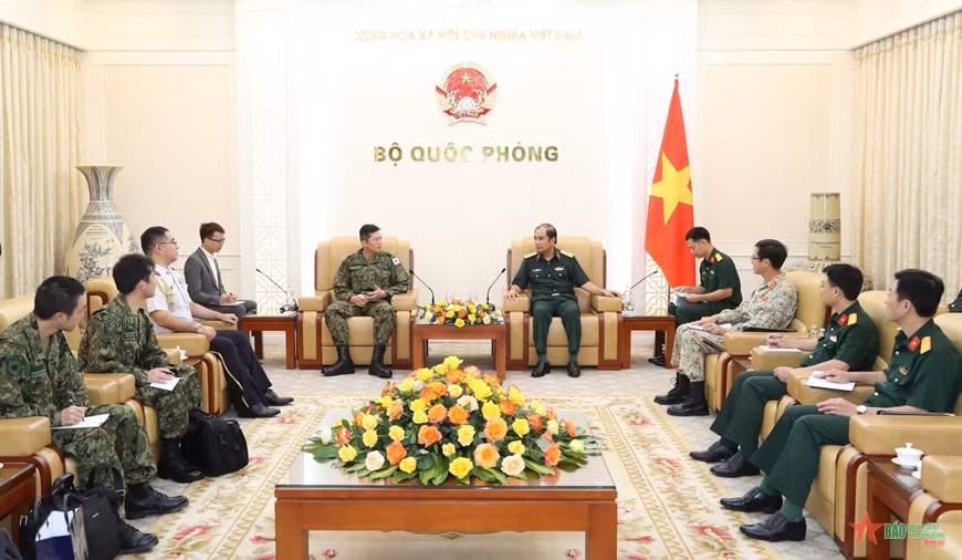 推动越日维和领域的合作 ảnh 1