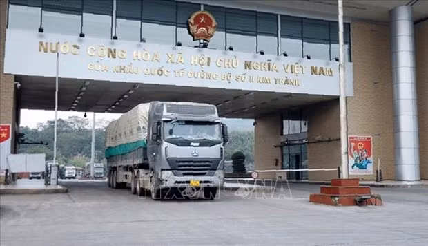 ☕️越通社新闻下午茶（2023.9.15） ảnh 5