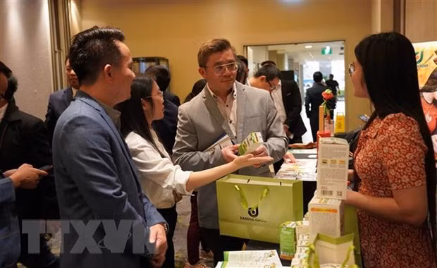 太平省投资贸易促进会在澳大利亚悉尼市举行 ảnh 1