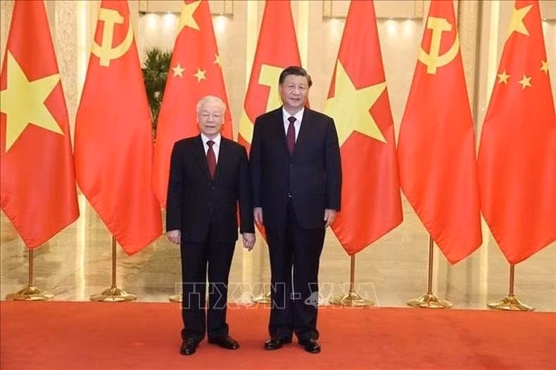 推动越中全面战略合作伙伴关系迈上新台阶 ảnh 1