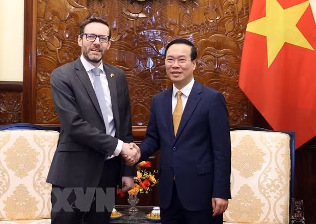 英国驻越南大使：对越南人民崛起的愿望印象深刻 ảnh 1