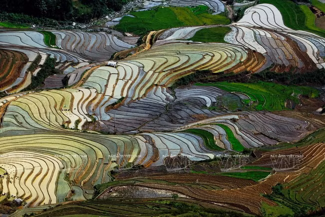 越南：木岗寨梯田美景 ảnh 1