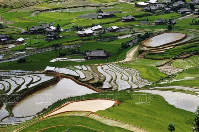 越南：木岗寨梯田美景 ảnh 4
