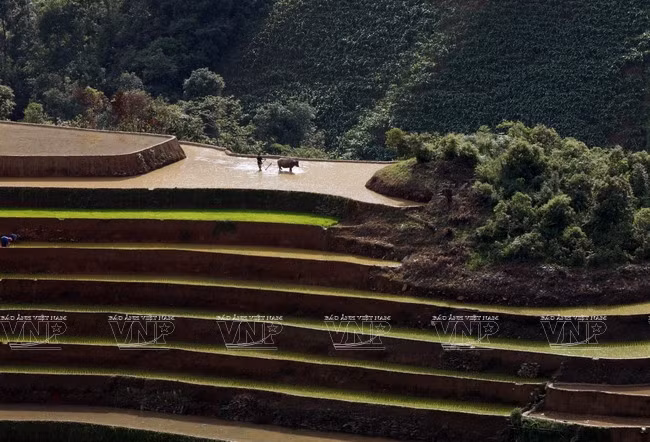 越南：木岗寨梯田美景 ảnh 15