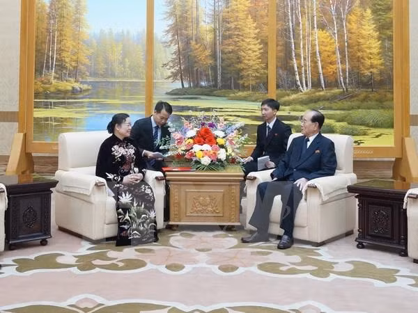 越南共产党代表团对朝鲜进行访问 ảnh 1