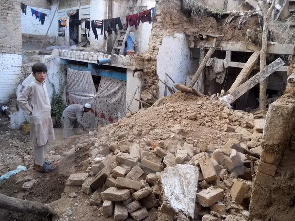 南亚地区大地震：越南高度关注在南亚国家越南公民安危 ảnh 1