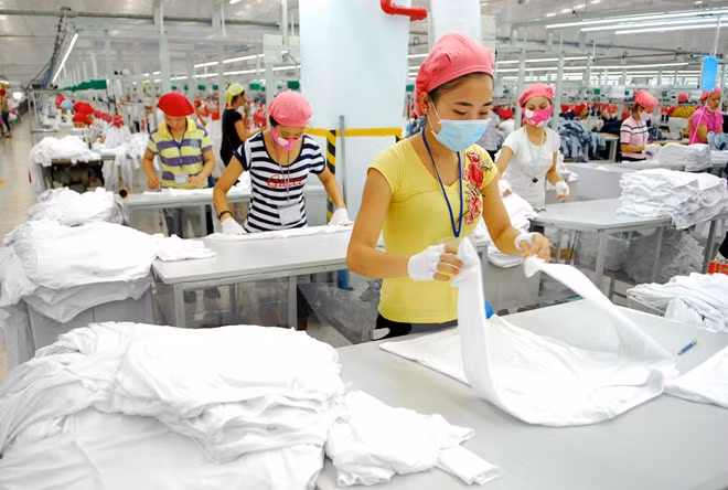 越南若干主要出口商品出口额或将下降 ảnh 1