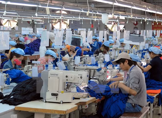 世行预测：今年越南经济增长可达6% ảnh 1