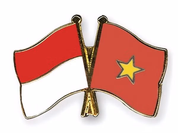 越印两国企业对接会在胡志明市举行 ảnh 1 越印两国企业对接会在胡志明市举行 ảnh 1
