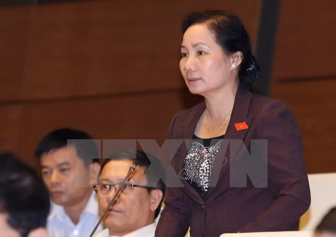 越南第十三届国会第十次会议发表第二号公报 ảnh 1