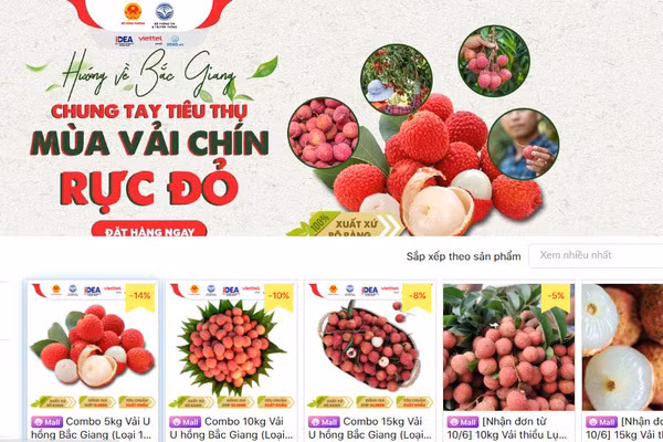 北江省通过电子商务平台促进农产品销售 ảnh 1