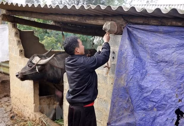 越南北部各省市主动应对危险天气 ảnh 1