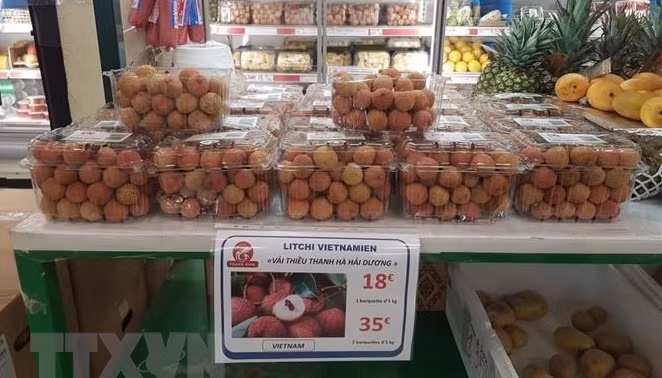 每个旅外越南人都成为向世界介绍越南农产品和吸引外国投资的重要桥梁 ảnh 1