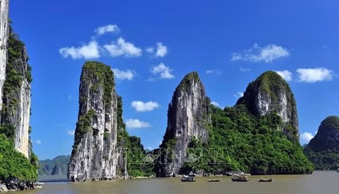 下龙湾世界遗产周在阿联酋2020年迪拜世界博览会举行 ảnh 2