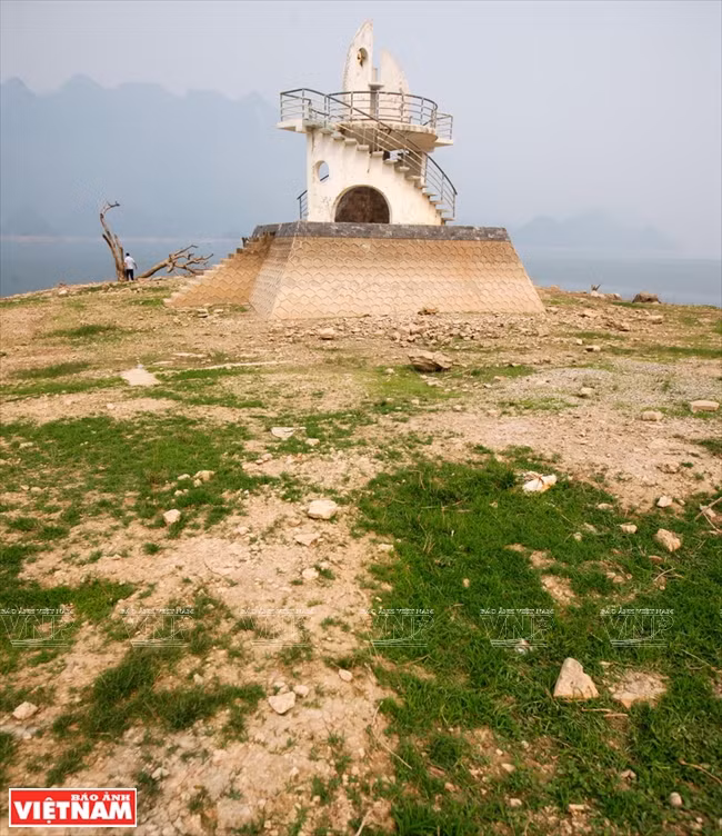 琼崖县的“故乡草” ảnh 4