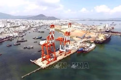 促进越南船舶运输业现代化 ảnh 1