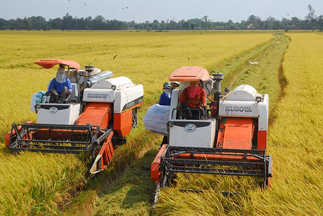 越南颁布决议 鼓励和促进企业对农业进行投资 ảnh 1