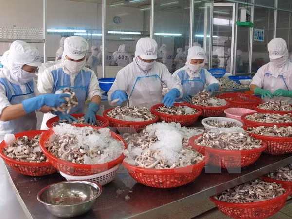 《越欧自贸协定》——提高越南企业管理能力和推动农产品出口的良机 ảnh 1