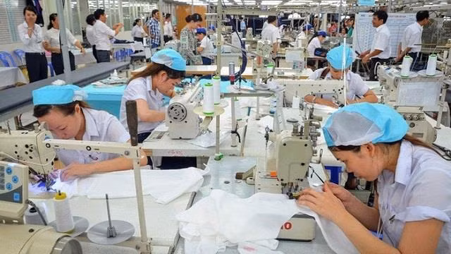 努力实现出口目标 ảnh 1