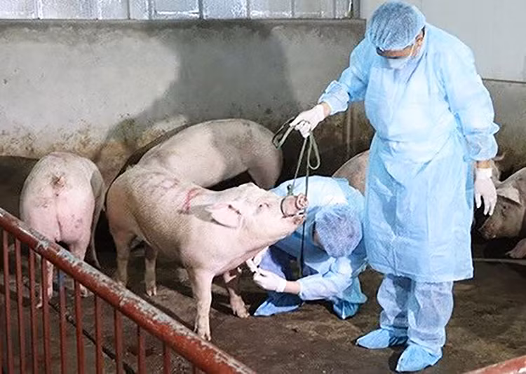 越南政府副总理王廷惠：2019年上半年消费者物价指数创三年来新低 ảnh 2