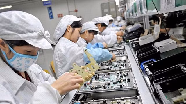 越南迎来欧盟的高质量外资热潮 ảnh 1