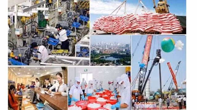 加大革新重组力度，提升经济增速 ảnh 1