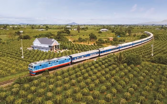 2019年上半年越南铁路货物运输量大幅下降 ảnh 2