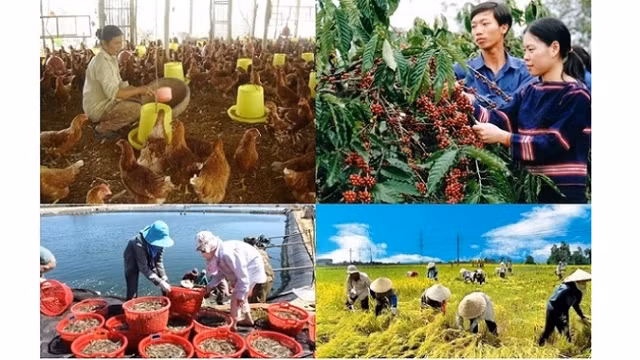 《自贸协定》带来广阔市场： 为越南融入国际经济夯实基石（一） ảnh 1