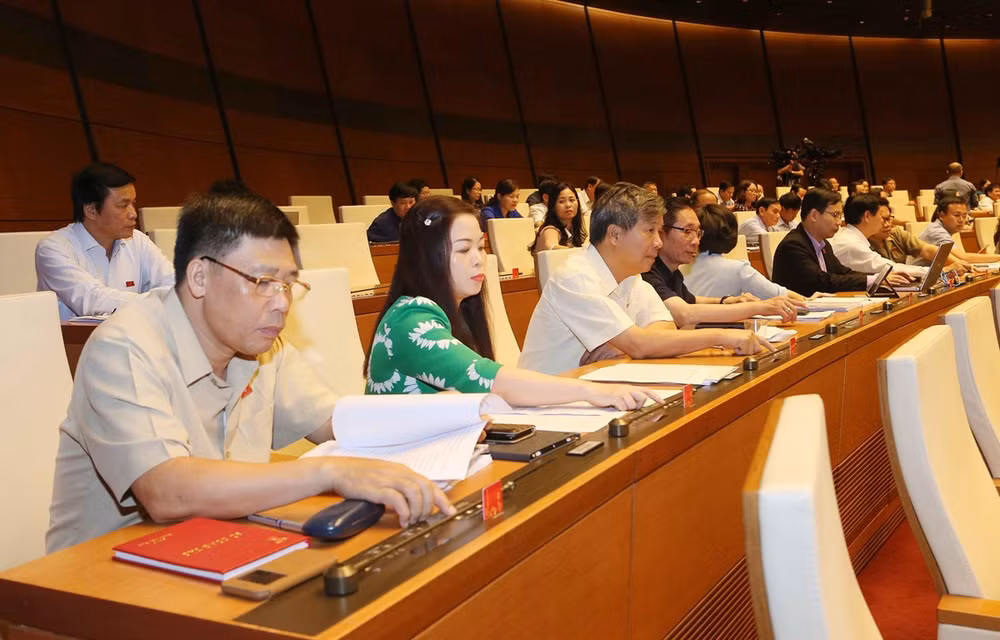 政府总理分工各部门主持草拟14项法案和法令 ảnh 1
