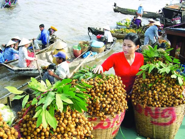 中国是越南农产品最大出口市场 ảnh 1