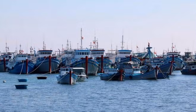 致力成为一个海洋强国、靠海致富的越南:征服深海 实现海洋强国之梦(第四篇) ảnh 3 致力成为一个海洋强国、靠海致富的越南:征服深海 实现海洋强国之梦(第四篇) ảnh 3