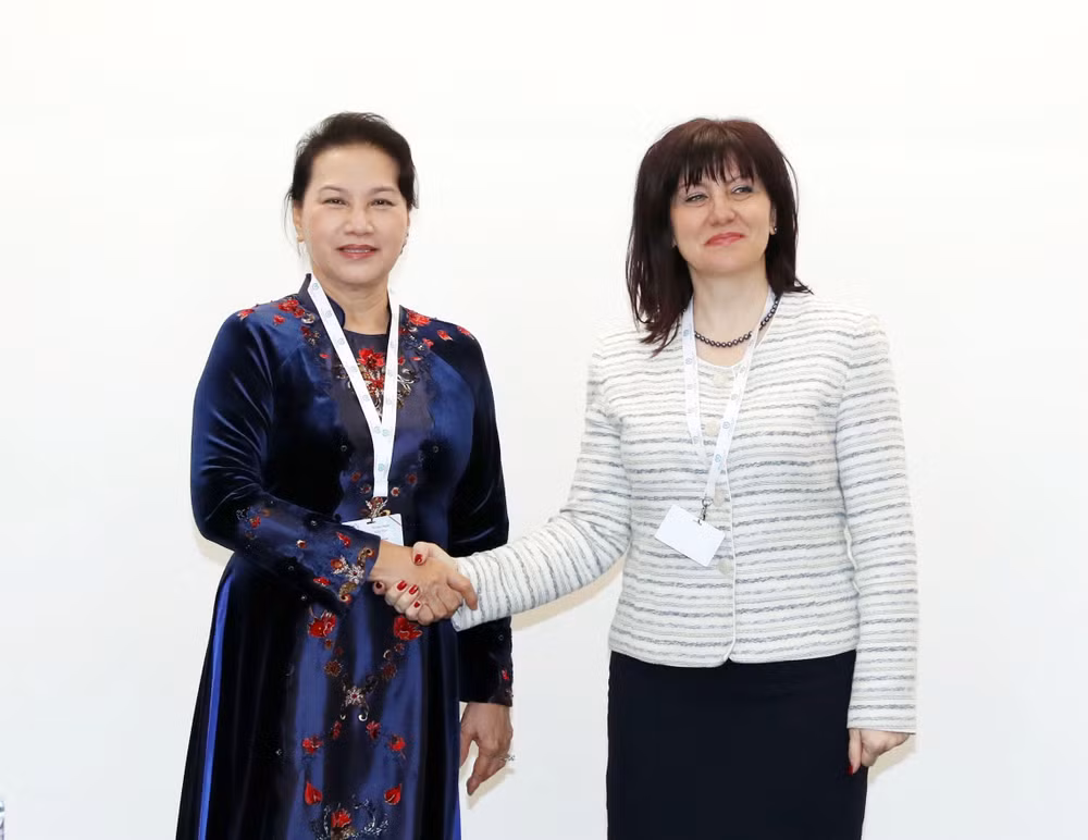 国会主席阮氏金银会见保加利亚国民议会议长采茨卡·察切娃 ảnh 1