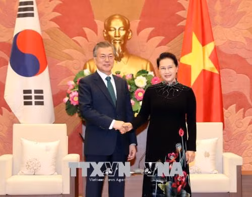 越南国会主席阮氏金银会见韩国总统文在寅 ảnh 1