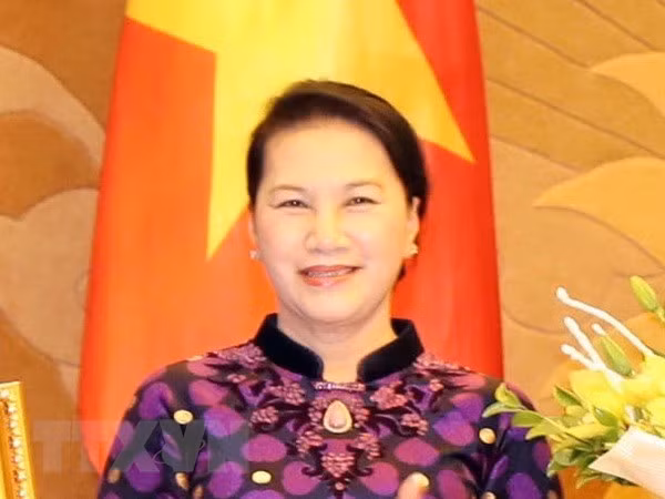 越南国会主席阮氏金银访问荷兰有助于进一步加强两国友好关系 ảnh 1