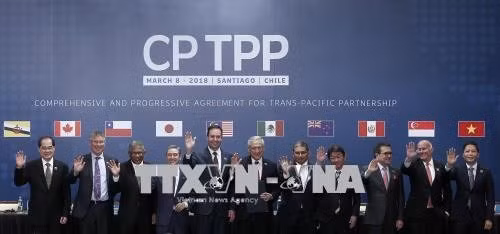 世行:CPTPP将为越南带来巨大的经济利益 ảnh 1 世行:CPTPP将为越南带来巨大的经济利益 ảnh 1