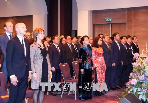 越南国会主席阮氏金银出席越南与荷兰建交45周年纪念活动 ảnh 1