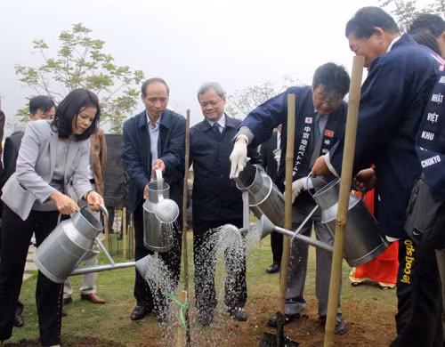 北宁省举行樱花园捐赠暨植树仪式 ảnh 1