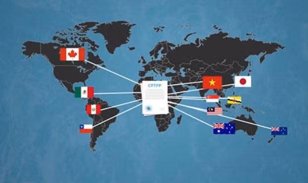 越南加入CPTPP：机遇和挑战并存 ảnh 1